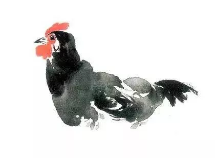 国画入门-国画母鸡画法