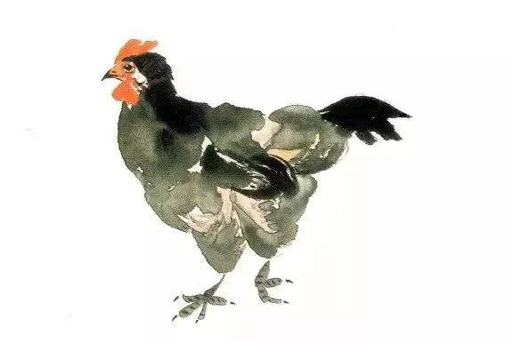 国画入门-国画母鸡画法
