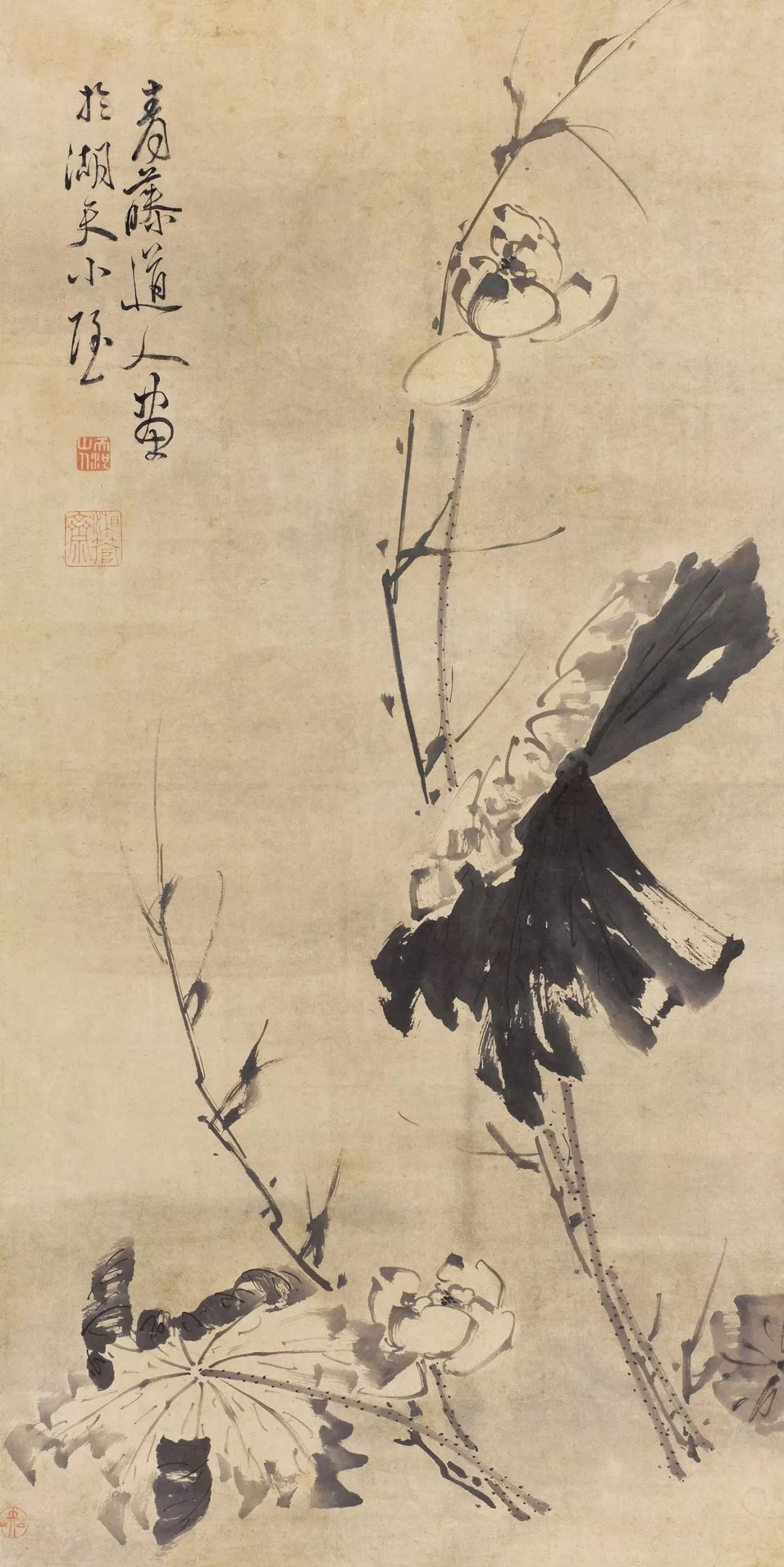 徐渭 清荷