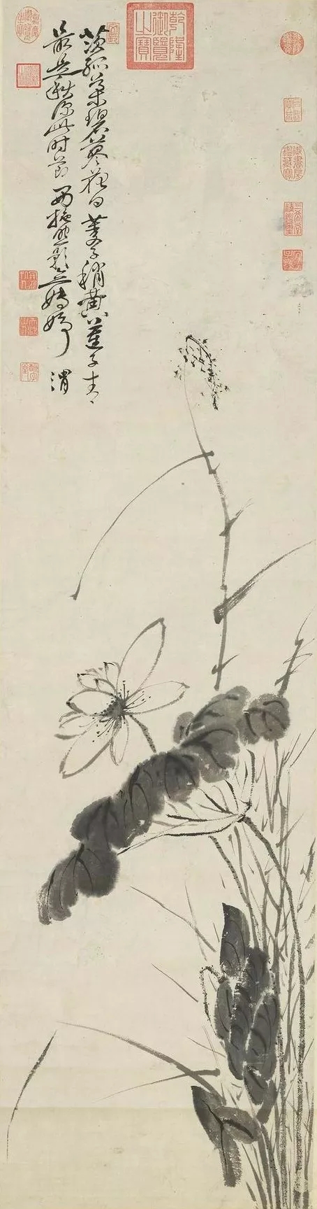 徐渭 荷花