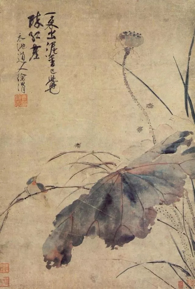 徐渭 一束出泥香