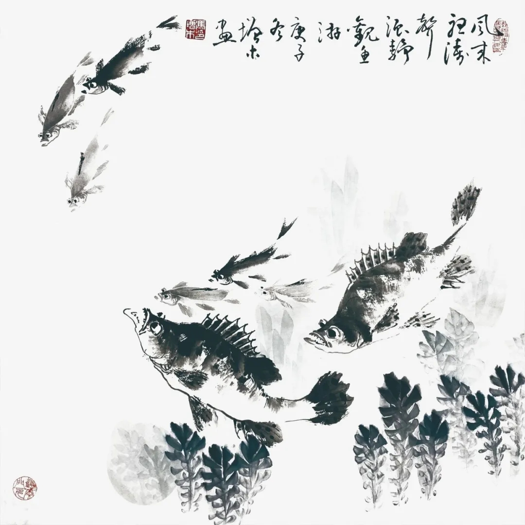 鳜鱼的画法