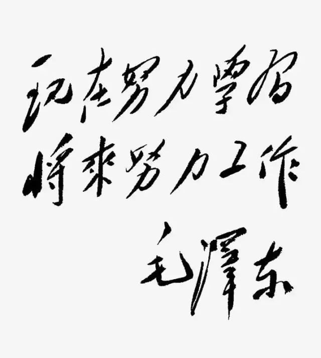 毛泽东书法：现在努力学习，将来努力工作