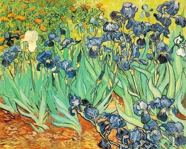 世界经典油画-梵高《鸢尾花》