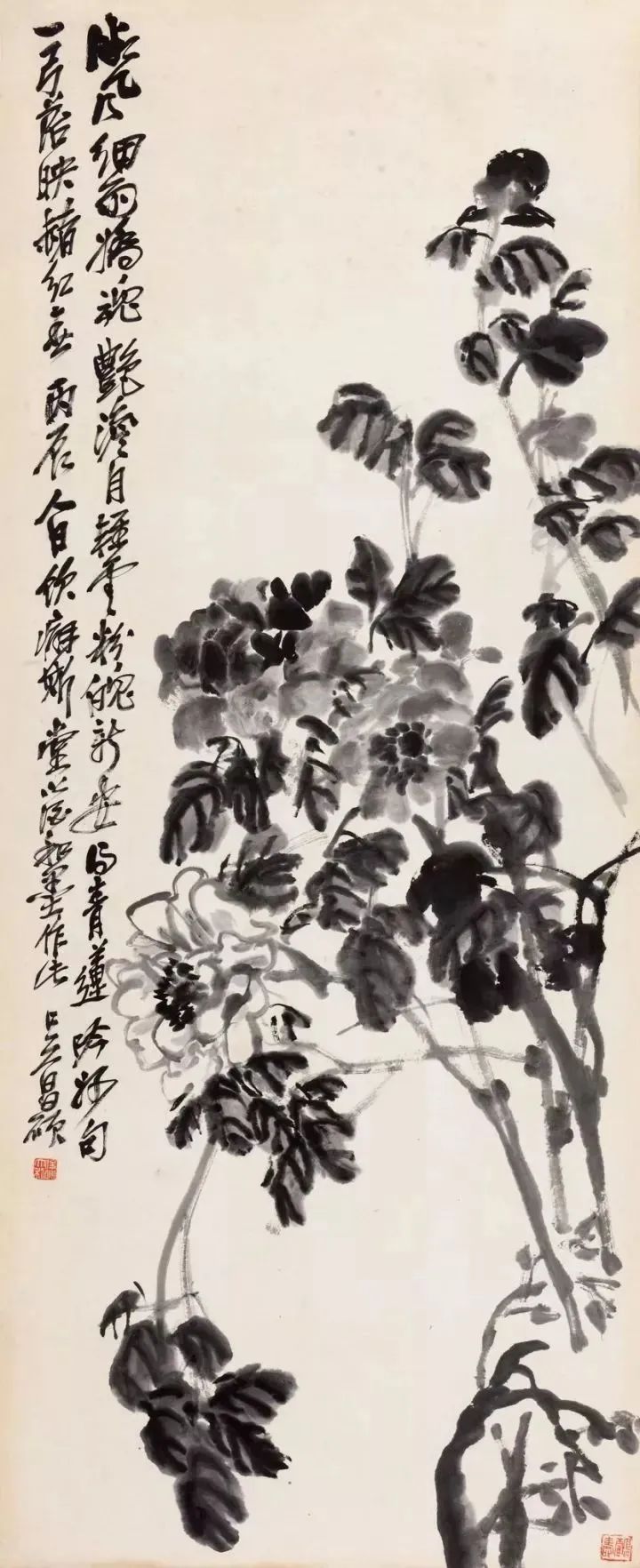 吴昌硕花卉作品欣赏